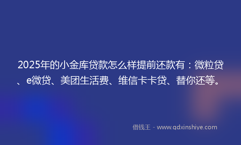 2025年的小金库贷款怎么样提前还款有：微粒贷、e微贷、美团生活费、维信卡卡贷、替你还等。