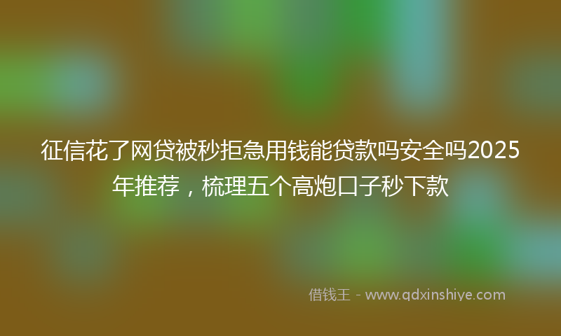 征信花了网贷被秒拒急用钱能贷款吗安全吗2025年推荐，梳理五个高炮口子秒下款