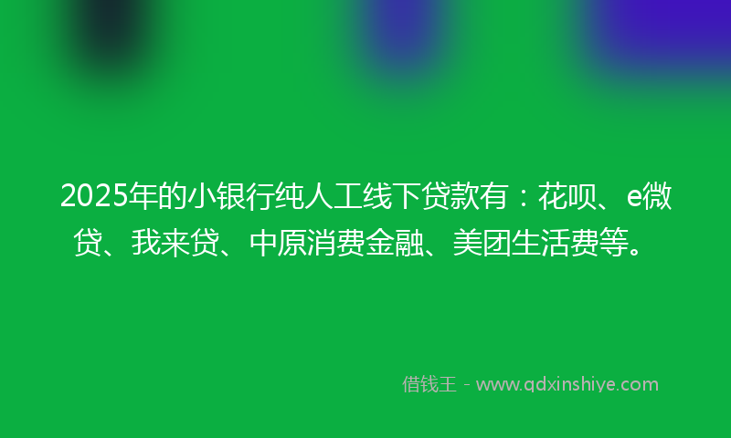 2025年的小银行纯人工线下贷款有：花呗、e微贷、我来贷、中原消费金融、美团生活费等。