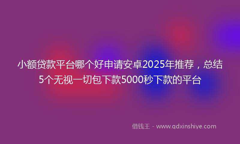 小额贷款平台哪个好申请安卓2025年推荐，总结5个无视一切包下款5000秒下款的平台