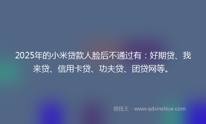 2025年的小米贷款人脸后不通过有：好期贷、我来贷、信用卡贷、功夫贷、团贷网等。