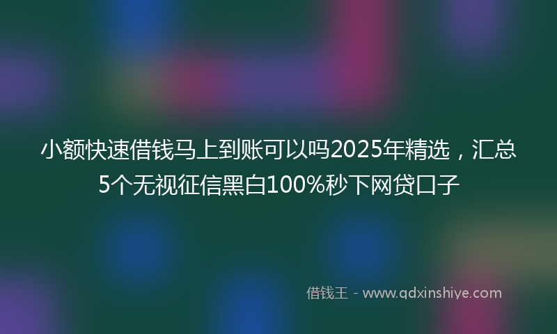 小额快速借钱马上到账可以吗2025年精选，汇总5个无视征信黑白100%秒下网贷口子