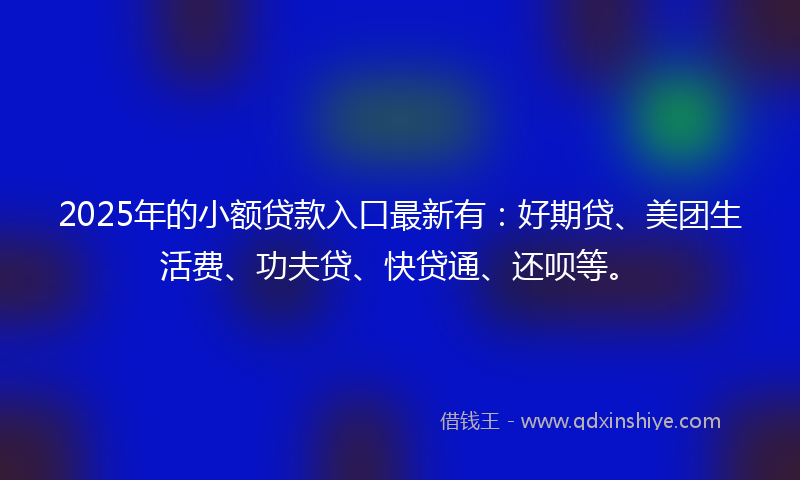 2025年的小额贷款入口最新有：好期贷、美团生活费、功夫贷、快贷通、还呗等。