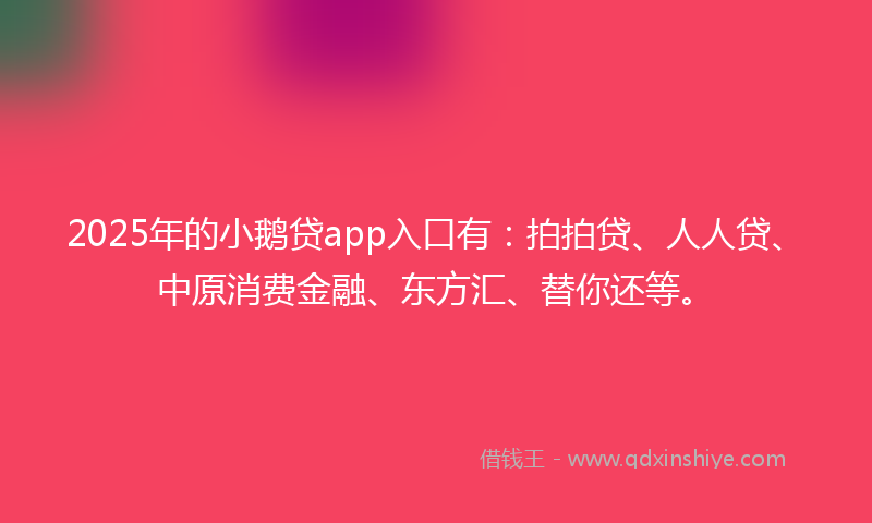 2025年的小鹅贷app入口有：拍拍贷、人人贷、中原消费金融、东方汇、替你还等。