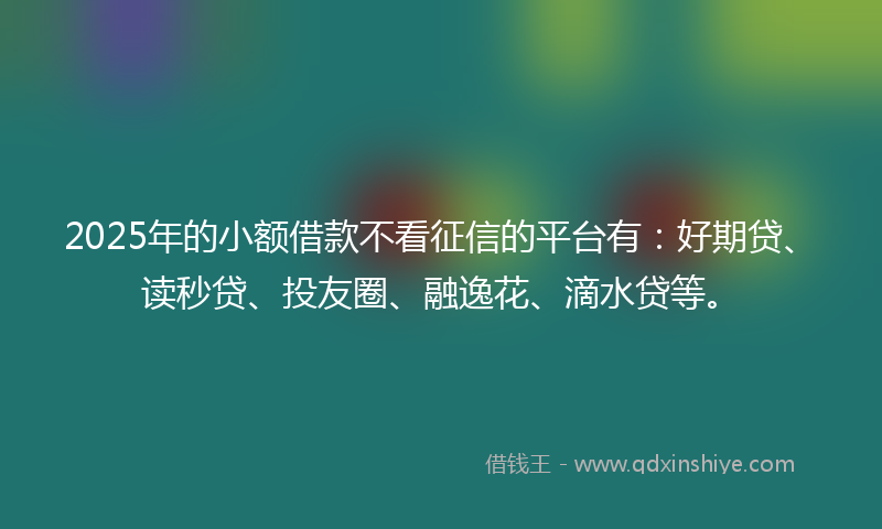 2025年的小额借款不看征信的平台有：好期贷、读秒贷、投友圈、融逸花、滴水贷等。