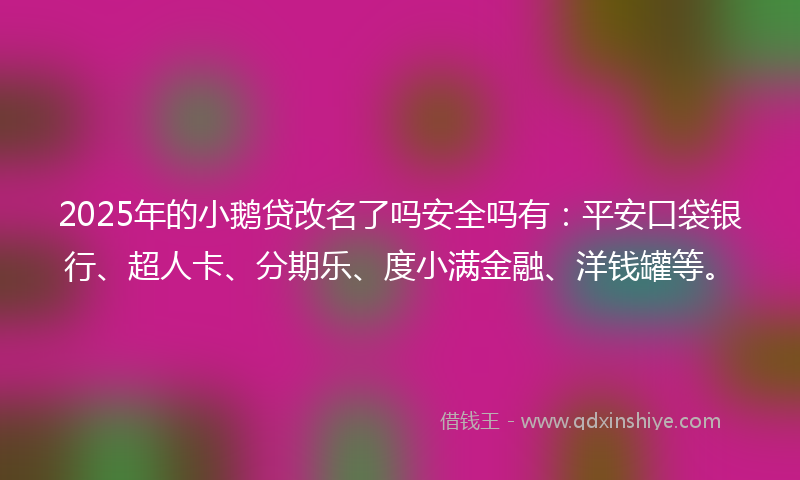 2025年的小鹅贷改名了吗安全吗有：平安口袋银行、超人卡、分期乐、度小满金融、洋钱罐等。