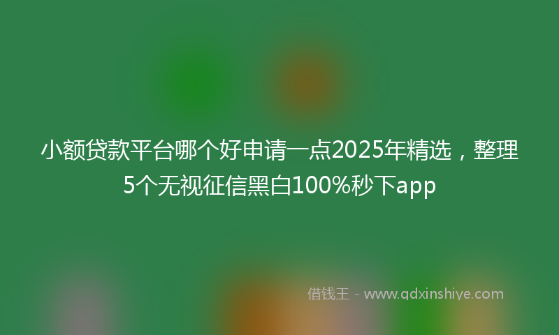 小额贷款平台哪个好申请一点2025年精选，整理5个无视征信黑白100%秒下app