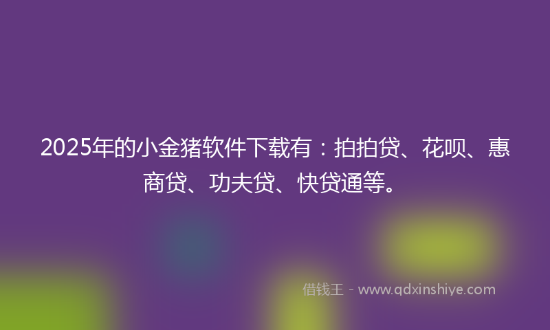 2025年的小金猪软件下载有：拍拍贷、花呗、惠商贷、功夫贷、快贷通等。