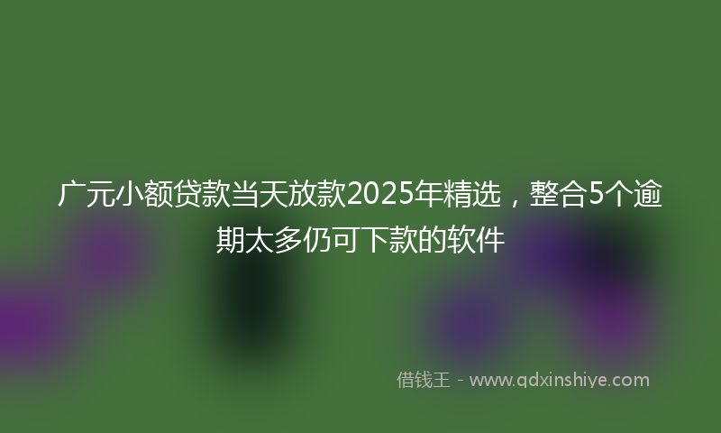 广元小额贷款当天放款2025年精选，整合5个逾期太多仍可下款的软件