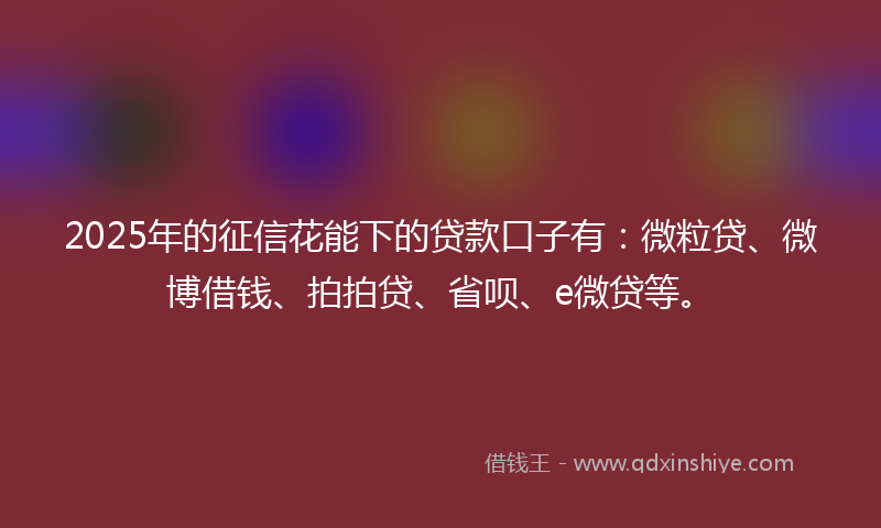 2025年的征信花能下的贷款口子有：微粒贷、微博借钱、拍拍贷、省呗、e微贷等。