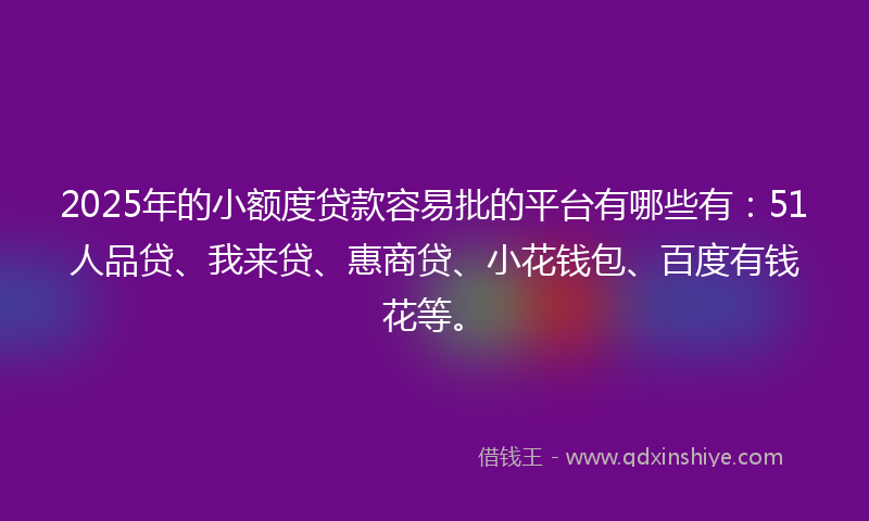 2025年的小额度贷款容易批的平台有哪些有：51人品贷、我来贷、惠商贷、小花钱包、百度有钱花等。