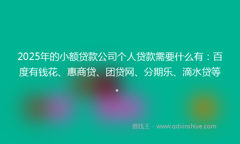 2025年的小额贷款公司个人贷款需要什么有：百度有钱花、惠商贷、团贷网、分期乐、滴水贷等。