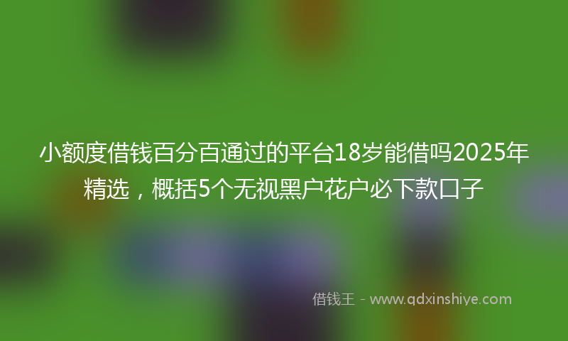 小额度借钱百分百通过的平台18岁能借吗2025年精选，概括5个无视黑户花户必下款口子