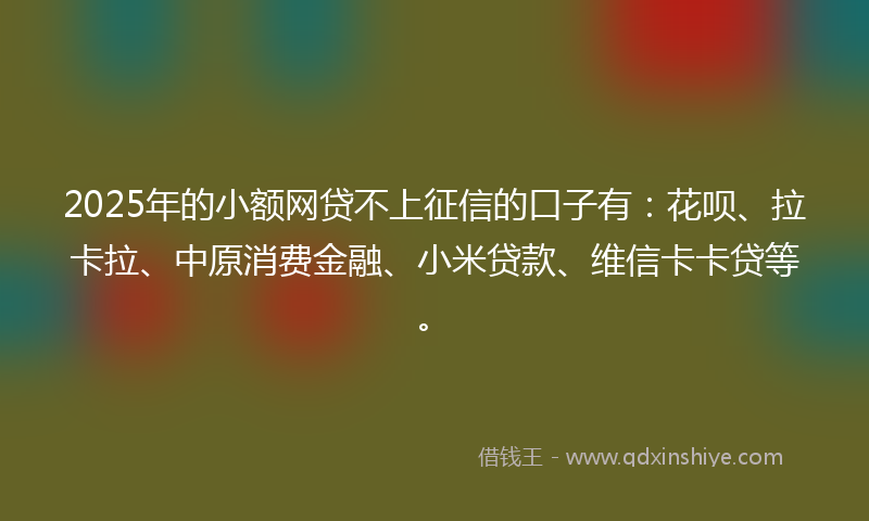 2025年的小额网贷不上征信的口子有：花呗、拉卡拉、中原消费金融、小米贷款、维信卡卡贷等。