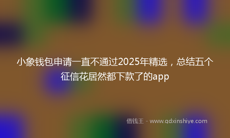 小象钱包申请一直不通过2025年精选，总结五个征信花居然都下款了的app