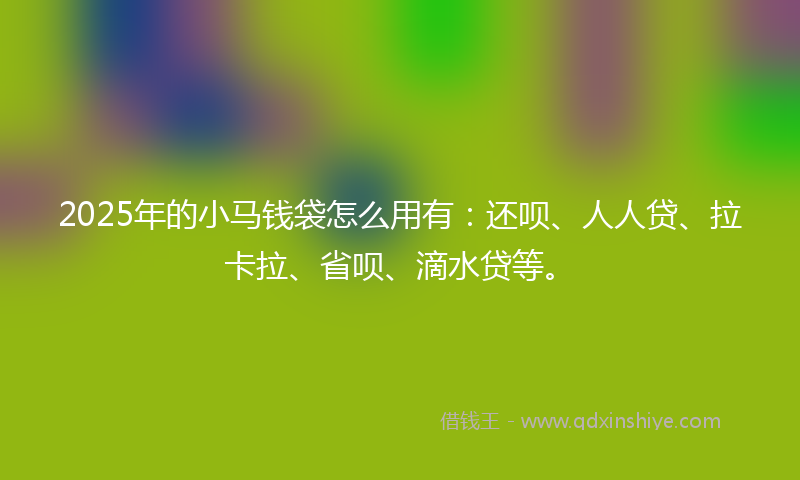 2025年的小马钱袋怎么用有：还呗、人人贷、拉卡拉、省呗、滴水贷等。