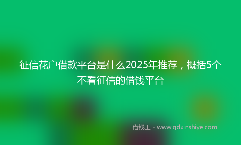 征信花户借款平台是什么2025年推荐，概括5个不看征信的借钱平台