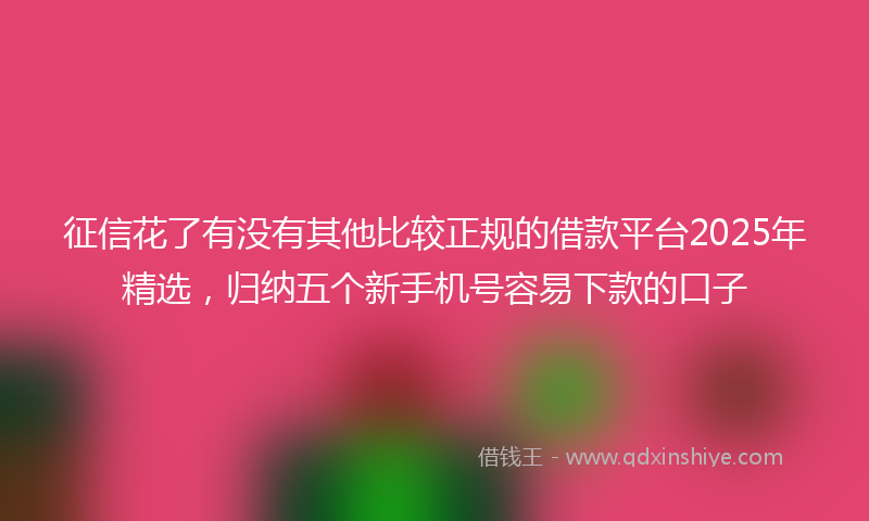 征信花了有没有其他比较正规的借款平台2025年精选，归纳五个新手机号容易下款的口子