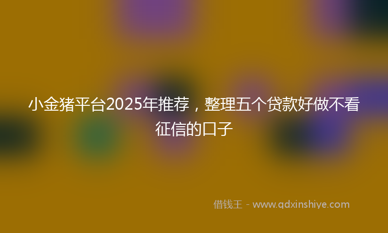 小金猪平台2025年推荐，整理五个贷款好做不看征信的口子