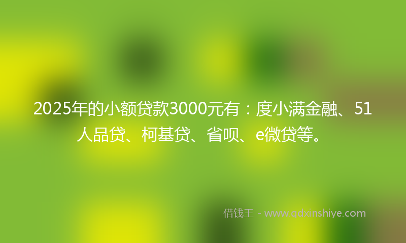 2025年的小额贷款3000元有：度小满金融、51人品贷、柯基贷、省呗、e微贷等。