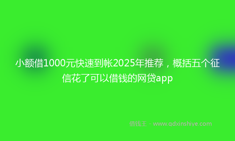 小额借1000元快速到帐2025年推荐，概括五个征信花了可以借钱的网贷app