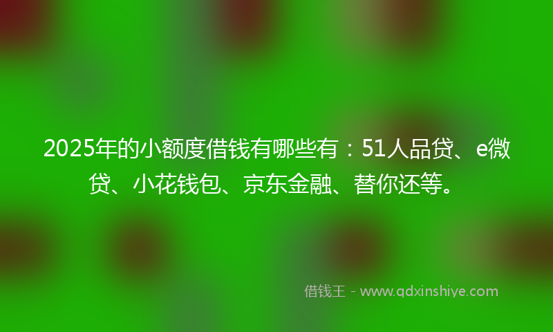 2025年的小额度借钱有哪些有：51人品贷、e微贷、小花钱包、京东金融、替你还等。