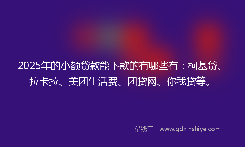 2025年的小额贷款能下款的有哪些有：柯基贷、拉卡拉、美团生活费、团贷网、你我贷等。