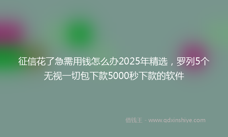 征信花了急需用钱怎么办2025年精选，罗列5个无视一切包下款5000秒下款的软件