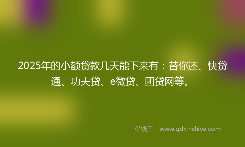 2025年的小额贷款几天能下来有：替你还、快贷通、功夫贷、e微贷、团贷网等。