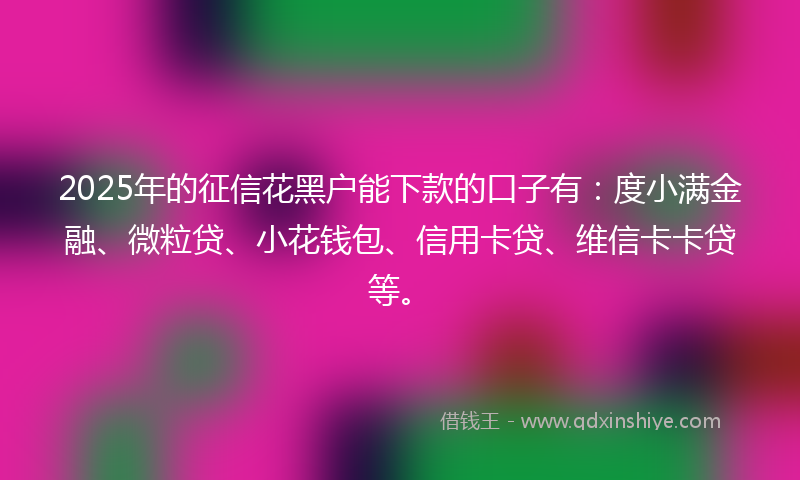 2025年的征信花黑户能下款的口子有：度小满金融、微粒贷、小花钱包、信用卡贷、维信卡卡贷等。