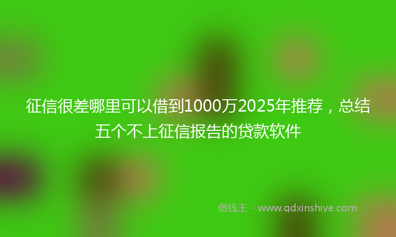征信很差哪里可以借到1000万2025年推荐，总结五个不上征信报告的贷款软件