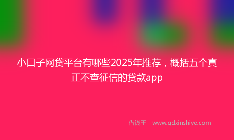 小口子网贷平台有哪些2025年推荐，概括五个真正不查征信的贷款app