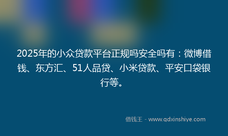 2025年的小众贷款平台正规吗安全吗有：微博借钱、东方汇、51人品贷、小米贷款、平安口袋银行等。