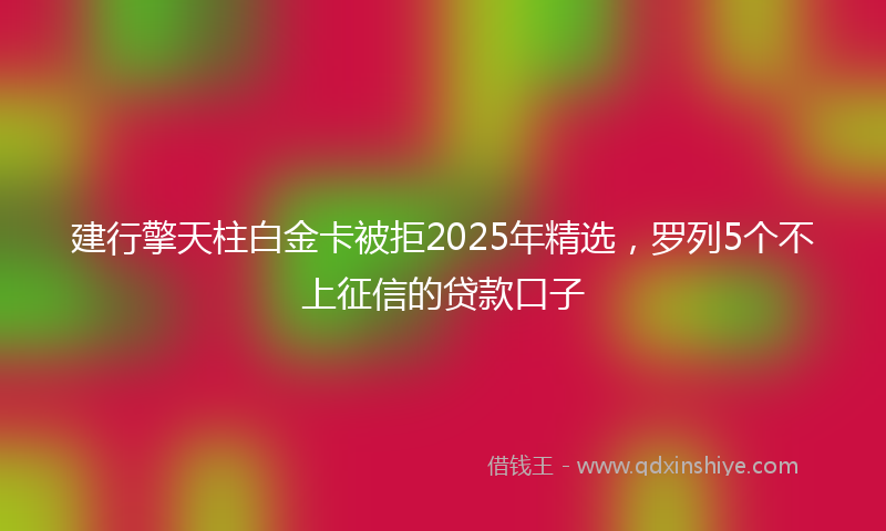 建行擎天柱白金卡被拒2025年精选，罗列5个不上征信的贷款口子