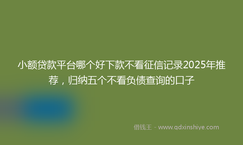 小额贷款平台哪个好下款不看征信记录2025年推荐，归纳五个不看负债查询的口子
