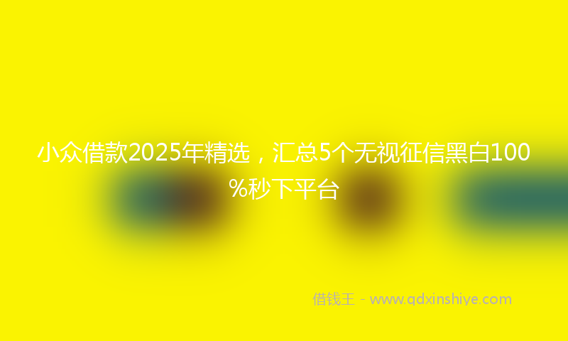 小众借款2025年精选，汇总5个无视征信黑白100%秒下平台