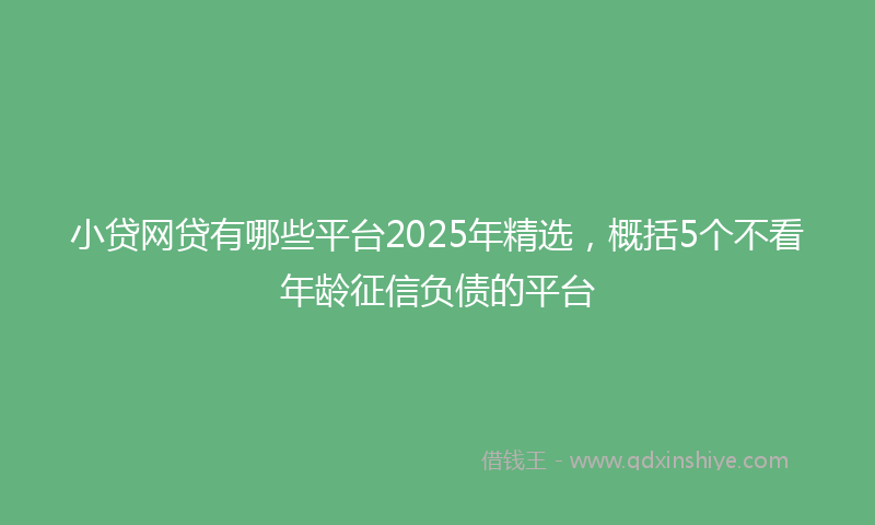小贷网贷有哪些平台2025年精选，概括5个不看年龄征信负债的平台