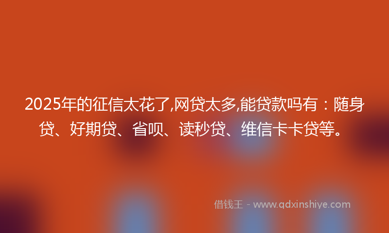 2025年的征信太花了,网贷太多,能贷款吗有：随身贷、好期贷、省呗、读秒贷、维信卡卡贷等。