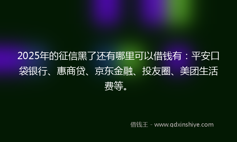 2025年的征信黑了还有哪里可以借钱有：平安口袋银行、惠商贷、京东金融、投友圈、美团生活费等。