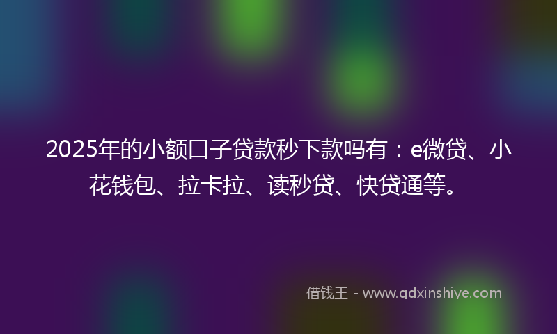 2025年的小额口子贷款秒下款吗有：e微贷、小花钱包、拉卡拉、读秒贷、快贷通等。