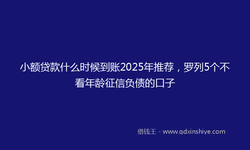小额贷款什么时候到账2025年推荐，罗列5个不看年龄征信负债的口子