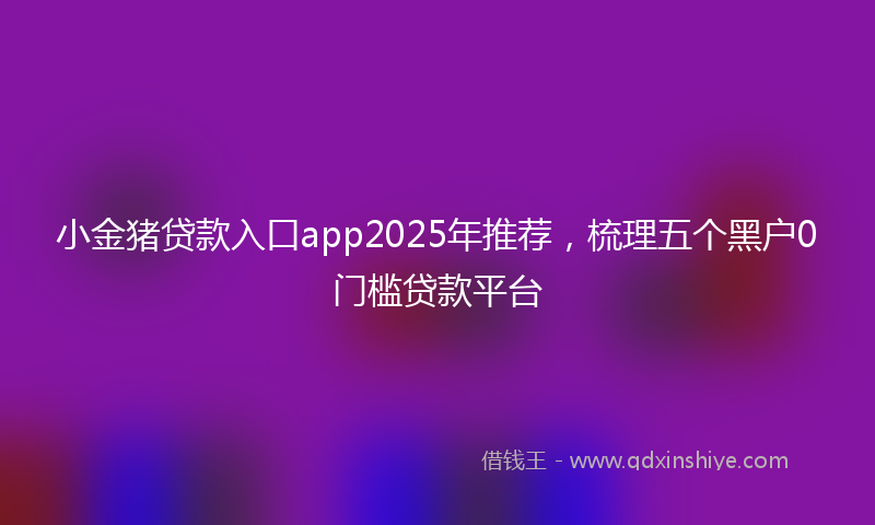 小金猪贷款入口app2025年推荐，梳理五个黑户0门槛贷款平台