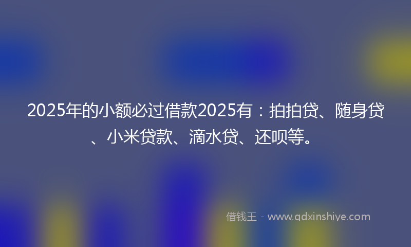 2025年的小额必过借款2025有：拍拍贷、随身贷、小米贷款、滴水贷、还呗等。