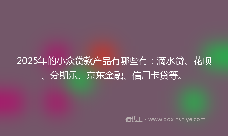 2025年的小众贷款产品有哪些有：滴水贷、花呗、分期乐、京东金融、信用卡贷等。