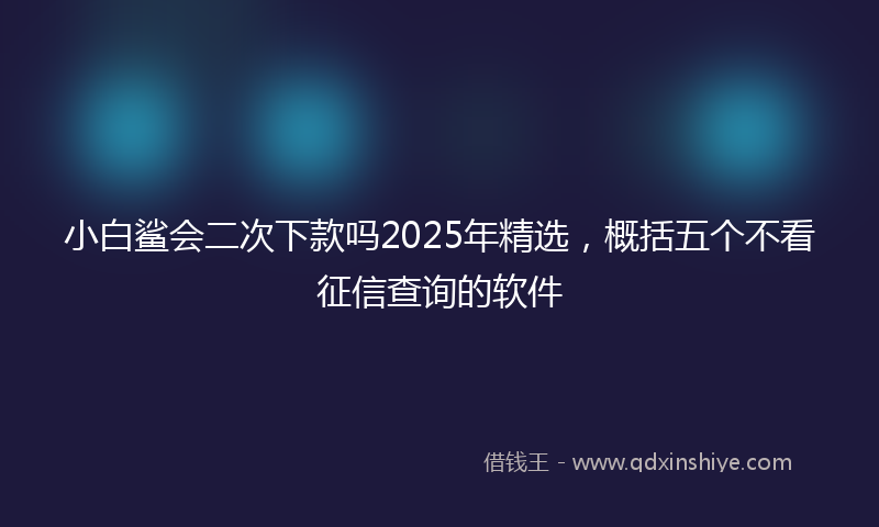 小白鲨会二次下款吗2025年精选，概括五个不看征信查询的软件