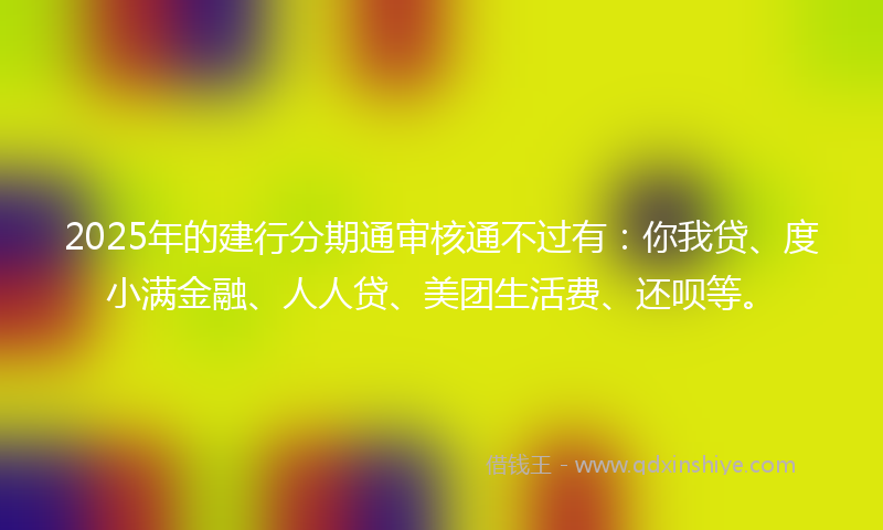 2025年的建行分期通审核通不过有：你我贷、度小满金融、人人贷、美团生活费、还呗等。