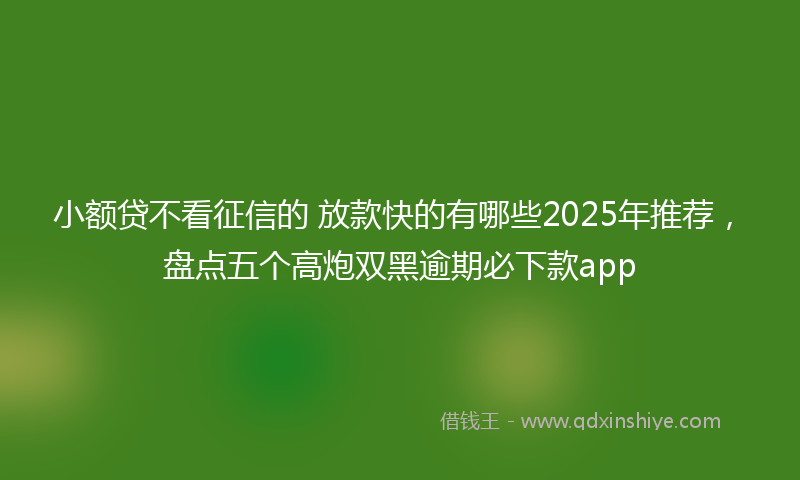 小额贷不看征信的 放款快的有哪些2025年推荐，盘点五个高炮双黑逾期必下款app
