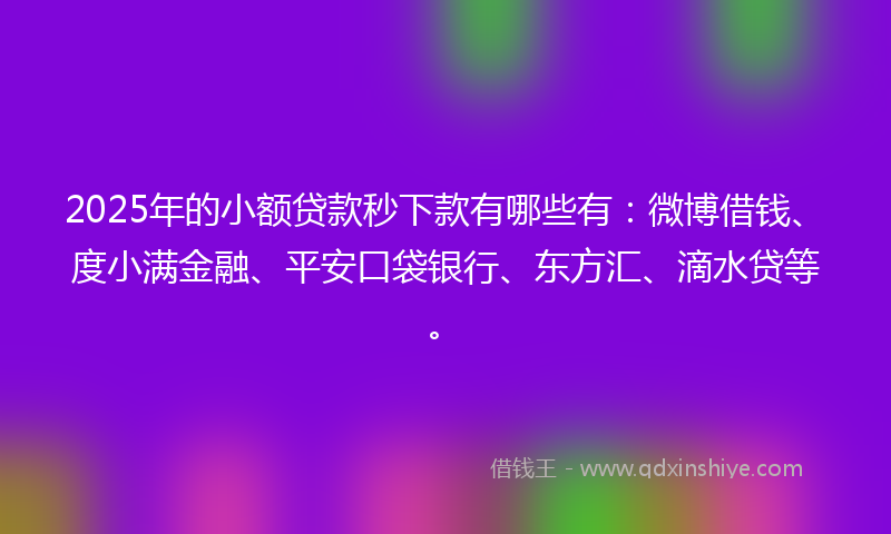 2025年的小额贷款秒下款有哪些有：微博借钱、度小满金融、平安口袋银行、东方汇、滴水贷等。