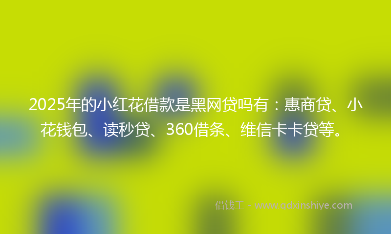 2025年的小红花借款是黑网贷吗有：惠商贷、小花钱包、读秒贷、360借条、维信卡卡贷等。