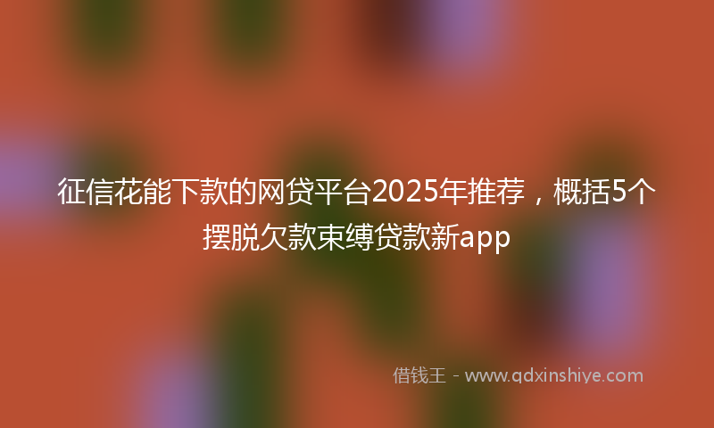 征信花能下款的网贷平台2025年推荐，概括5个摆脱欠款束缚贷款新app